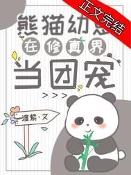 熊猫幼崽在修真界当团宠百度