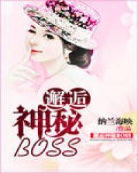 邂逅神秘 boss