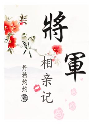 将军抢亲记