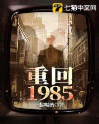 重回1985陈海