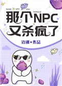 那个npc又杀疯了读零零