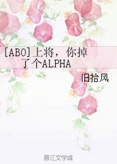 你掉了个alpha