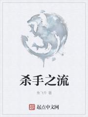 杀手系统流