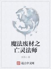 魔法亡灵法师类