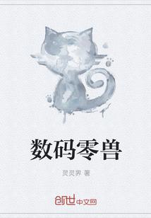 数码宝贝 零丸