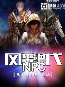 风华绝代NPC 聚合中文网