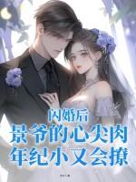 闪婚老公偏宠入骨景如星